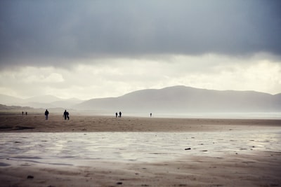人们站在灰色沙滩上的剪影照片